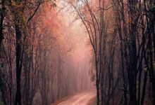 剑灵私服中的独门绝技，助你称霸修仙之路