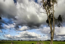 剑灵私服：结义兄弟，共闯江湖